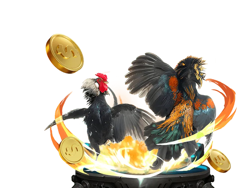 Làm quen với giao diện rc88